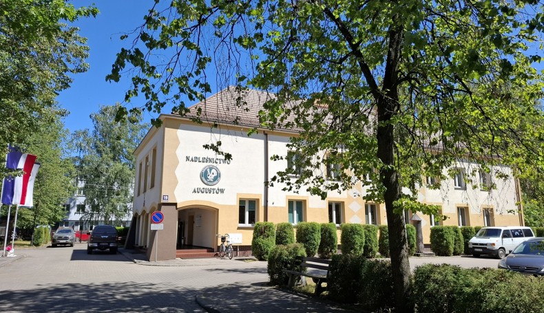 Nadleśnictwo Augustów, fot. Marta Sołtys
